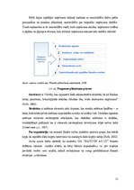 Diplomdarbs 'Sabiedrības ar ierobežotu atbildību "Eastcon AG LV" finanšu rādītāji un to ietek', 32.