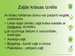 Prezentācija 'Krēms "Mūžības asns"', 5.