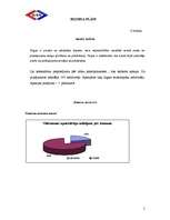 Biznesa plāns 'SIA "Ilva"', 5.