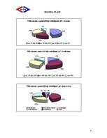 Biznesa plāns 'SIA "Ilva"', 6.