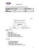 Biznesa plāns 'SIA "Ilva"', 13.