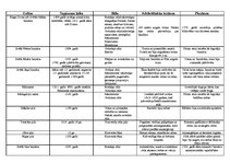 Konspekts 'Ievērojamas celtnes Latvijā', 1.