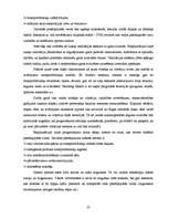 Referāts 'Transporta nozares ietekme uz vidi', 27.