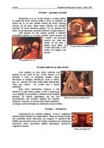 Referāts 'Orvieto', 8.