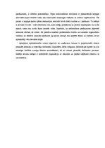 Referāts 'Projekta darbskursā "Uzņēmuma organizācijas struktūra un kultūra"', 15.