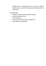 Referāts 'Projekta darbskursā "Uzņēmuma organizācijas struktūra un kultūra"', 18.