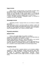 Referāts 'Silvas metodes un to praktiskais pielietojums', 11.