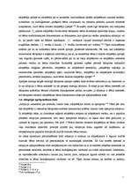 Referāts 'Adopcija kā juridisks fakts', 11.