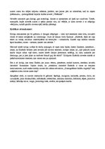 Konspekts 'Jānis Einfelds "Pornogrāfisko bildīšu tirgotājs"', 2.