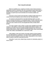 Eseja 'Mans vaļasprieks - ģitārspēle', 1.