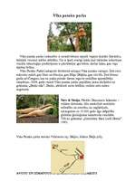 Referāts 'Viktors Kalniņš', 7.