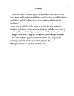 Referāts 'Koplīgums', 2.