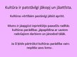 Prezentācija 'Kultūras specifiika', 13.