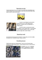 Referāts 'Simetrija arhitektūrā, mākslā un dabā', 4.