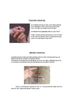 Referāts 'Simetrija arhitektūrā, mākslā un dabā', 5.