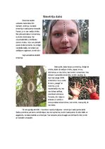 Referāts 'Simetrija arhitektūrā, mākslā un dabā', 8.