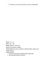 Prakses atskaite 'Aktīvās mācību audzināšanas prakses dienasgrāmata', 9.