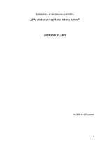 Biznesa plāns 'SIA "ZVU drukas un kopēšanas iekārtu salons"', 1.