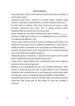 Biznesa plāns 'SIA "ZVU drukas un kopēšanas iekārtu salons"', 3.