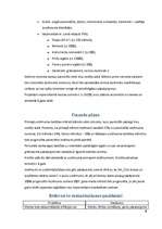 Biznesa plāns 'SIA "ZVU drukas un kopēšanas iekārtu salons"', 9.