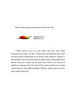 Konspekts 'Ēnu ekonomika', 6.