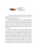 Konspekts 'Ēnu ekonomika', 7.