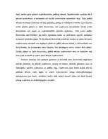 Konspekts 'Ēnu ekonomika', 8.