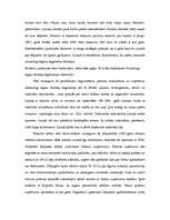 Konspekts 'Ēnu ekonomika', 17.