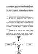 Diplomdarbs 'Latvijas biškopības nozares konkurētspējas un attīstības iespēju analīze Eiropas', 12.