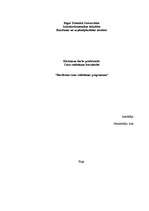 Konspekts 'Būvfirmas cenu veidošanas programma', 1.