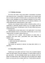 Konspekts 'Būvfirmas cenu veidošanas programma', 5.