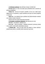 Konspekts 'Būvfirmas cenu veidošanas programma', 10.