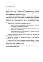 Konspekts 'Būvfirmas cenu veidošanas programma', 11.