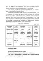 Konspekts 'Būvfirmas cenu veidošanas programma', 18.