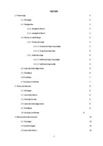 Konspekts 'Ādas infekciju slimības', 2.