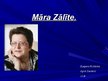 Referāts 'Māras Zālītes dzejoļu krājuma "Vakar zaļajā zālē" analīze', 14.