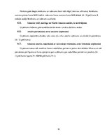 Prakses atskaite 'Kvalifikācijas prakses atskaite muitas brokeru uzņēmumā', 19.