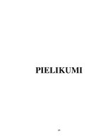 Prakses atskaite 'Kvalifikācijas prakses atskaite muitas brokeru uzņēmumā', 28.