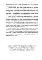 Diplomdarbs 'Angļu valodas alfabēta apguve interešu izglītības programmā "Angļu valodas pulci', 13.