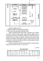 Diplomdarbs 'Angļu valodas alfabēta apguve interešu izglītības programmā "Angļu valodas pulci', 19.