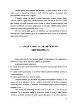 Diplomdarbs 'Angļu valodas alfabēta apguve interešu izglītības programmā "Angļu valodas pulci', 20.