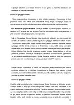 Referāts 'Eiropas Savienības reģionālā politika un apkārtējā vide', 12.