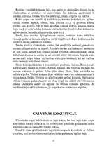 Referāts 'Koksne', 12.