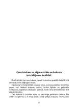 Referāts 'Koksne', 25.