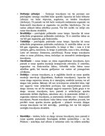 Referāts 'Īpaša bērna valodiņa', 7.