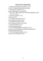 Referāts 'Harisma un tās loma politikā', 12.