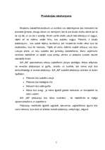 Biznesa plāns 'Arbūzu audzēšana un realizācija', 5.