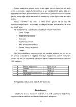 Biznesa plāns 'Arbūzu audzēšana un realizācija', 12.