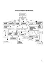 Referāts 'Mārketinga pasākumu plāns viesnīcai "Reval hotel Rīdzene"', 9.