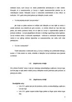 Biznesa plāns 'SIA "Medus Paradīze"', 6.